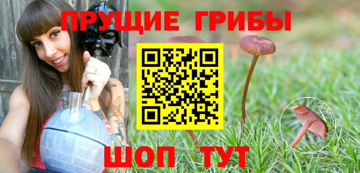 что такое наркотик  Вход с VPN  Брянск  Галлюциногенные грибы мицелий 