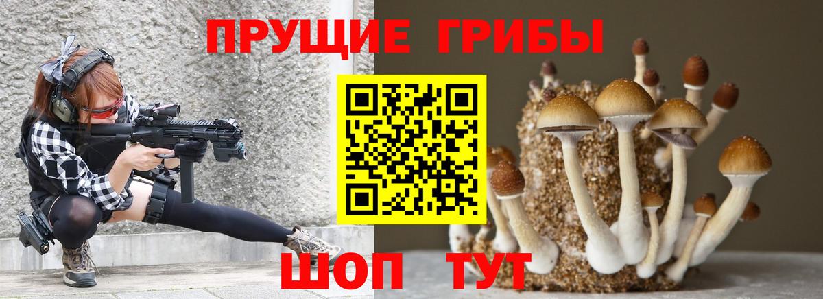 Псилоцибиновые грибы мухоморы Брянск